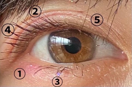 ぷぅぴぃ《紫コス部💜💗》 on LIPS 「🎉🎉🎉🎉2021年9月15日🎉🎉🎉🎉🎉🎉#かよんちゃん°.✧H..」(4枚目)