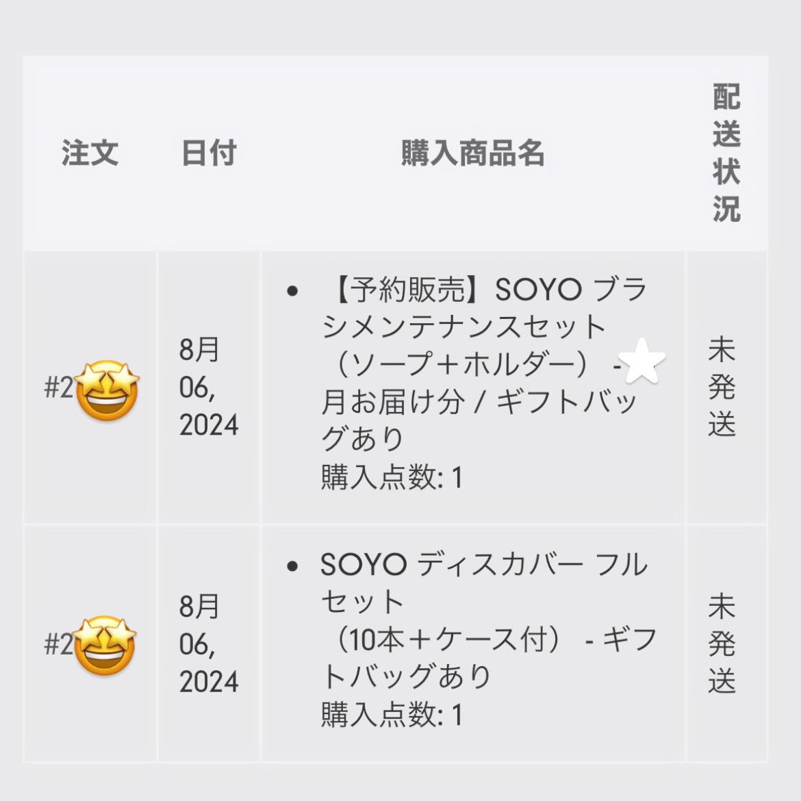 SOYO ディスカバー フルセット (10本+ケース付)/SOYO/メイクブラシを使ったクチコミ(3枚目)