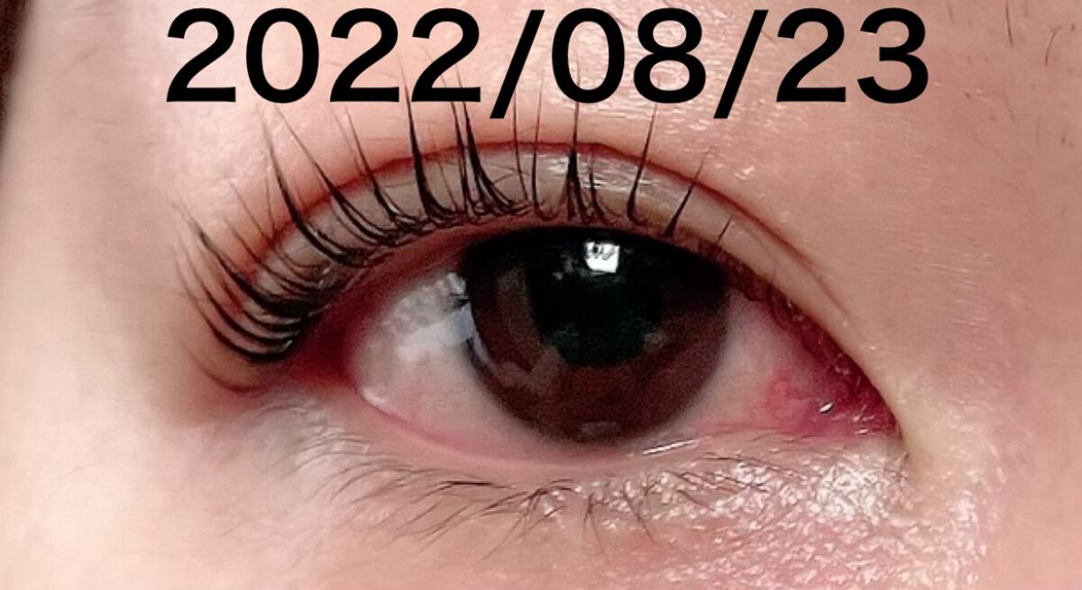 ビューティーラッシュ オリジン/Spa treatment/まつげ美容液を使ったクチコミ（2枚目）