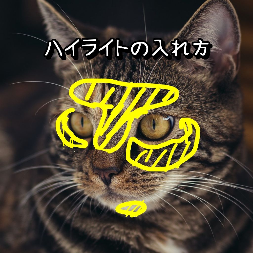 ヴィセ アヴァン パーフェクトフィニッシュ グロウ/Visée/プレストパウダーを使ったクチコミ(2枚目)