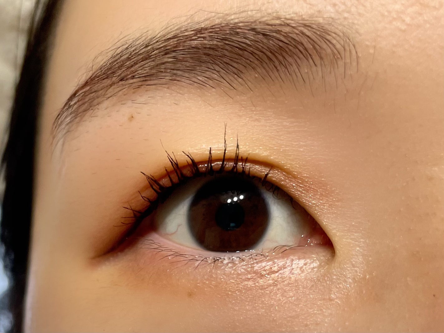 ラッシュニスタ プライマー/MAYBELLINE NEW YORK/マスカラ下地を使ったクチコミ(3枚目)