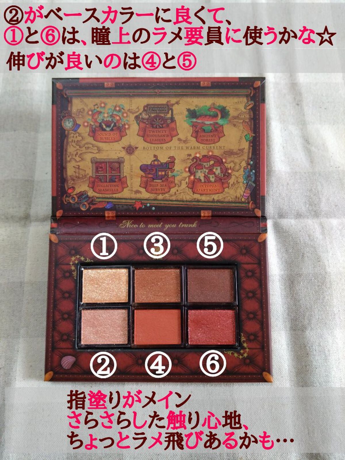 ナイストゥミーチュートランク/MAJOLICA MAJORCA/アイシャドウパレットを使ったクチコミ(3枚目)