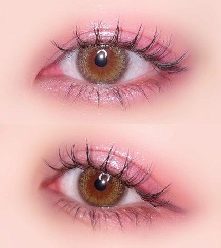 Love Bear 9色 アイシャドウパレット/FlowerKnows/アイシャドウパレットを使ったクチコミ(1枚目)