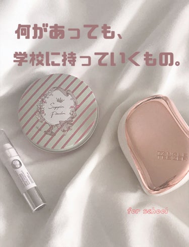 コンパクトスタイラー/TANGLE TEEZER/ヘアブラシを使ったクチコミ（1枚目）