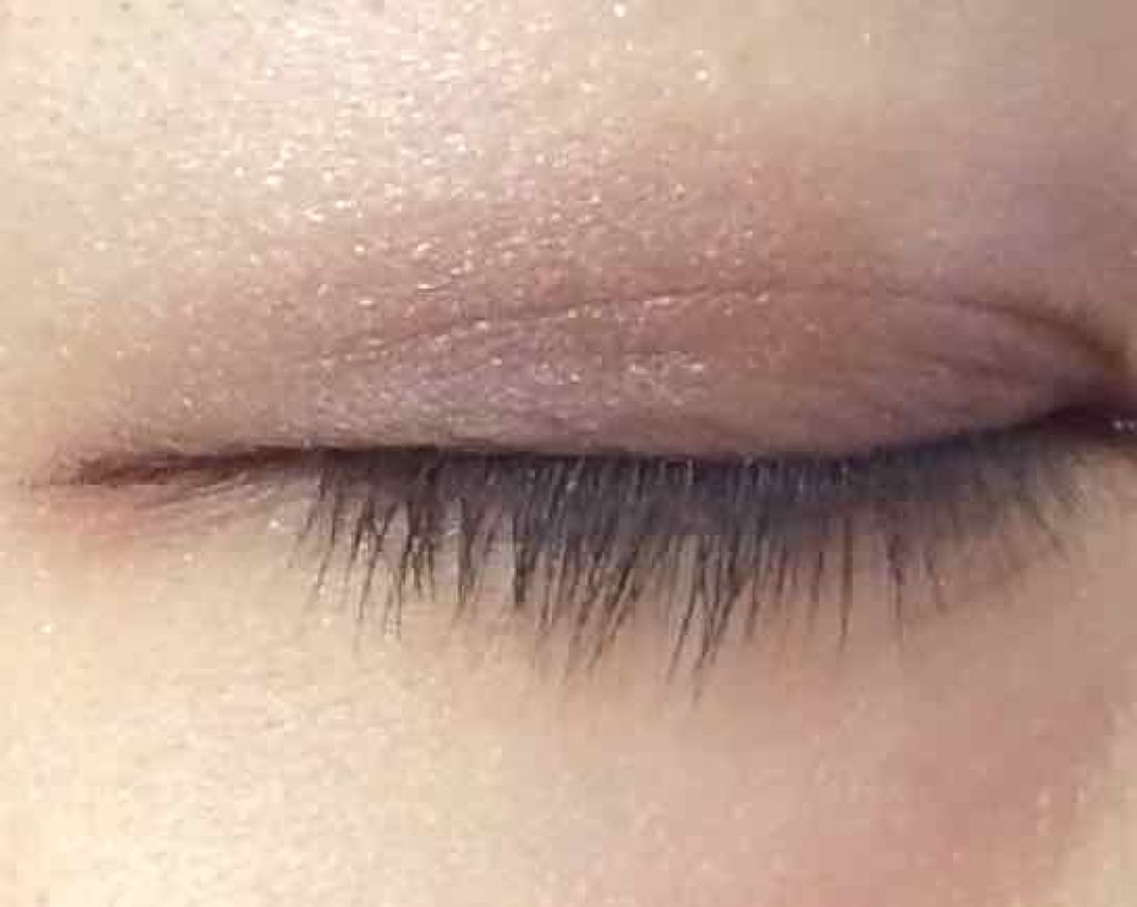 【旧品】パーフェクトスタイリストアイズ/キャンメイク/アイシャドウパレットを使ったクチコミ(1枚目)