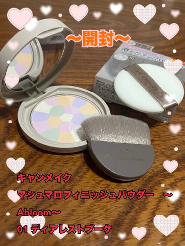 マシュマロフィニッシュパウダー　～Abloom～/キャンメイク/プレストパウダーを使ったクチコミ（3枚目）