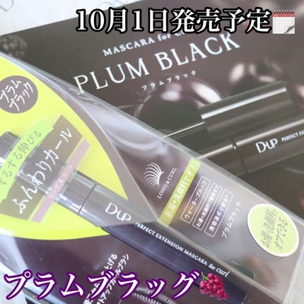 パーフェクトエクステンション マスカラ for カール/D-UP/マスカラを使ったクチコミ(2枚目)
