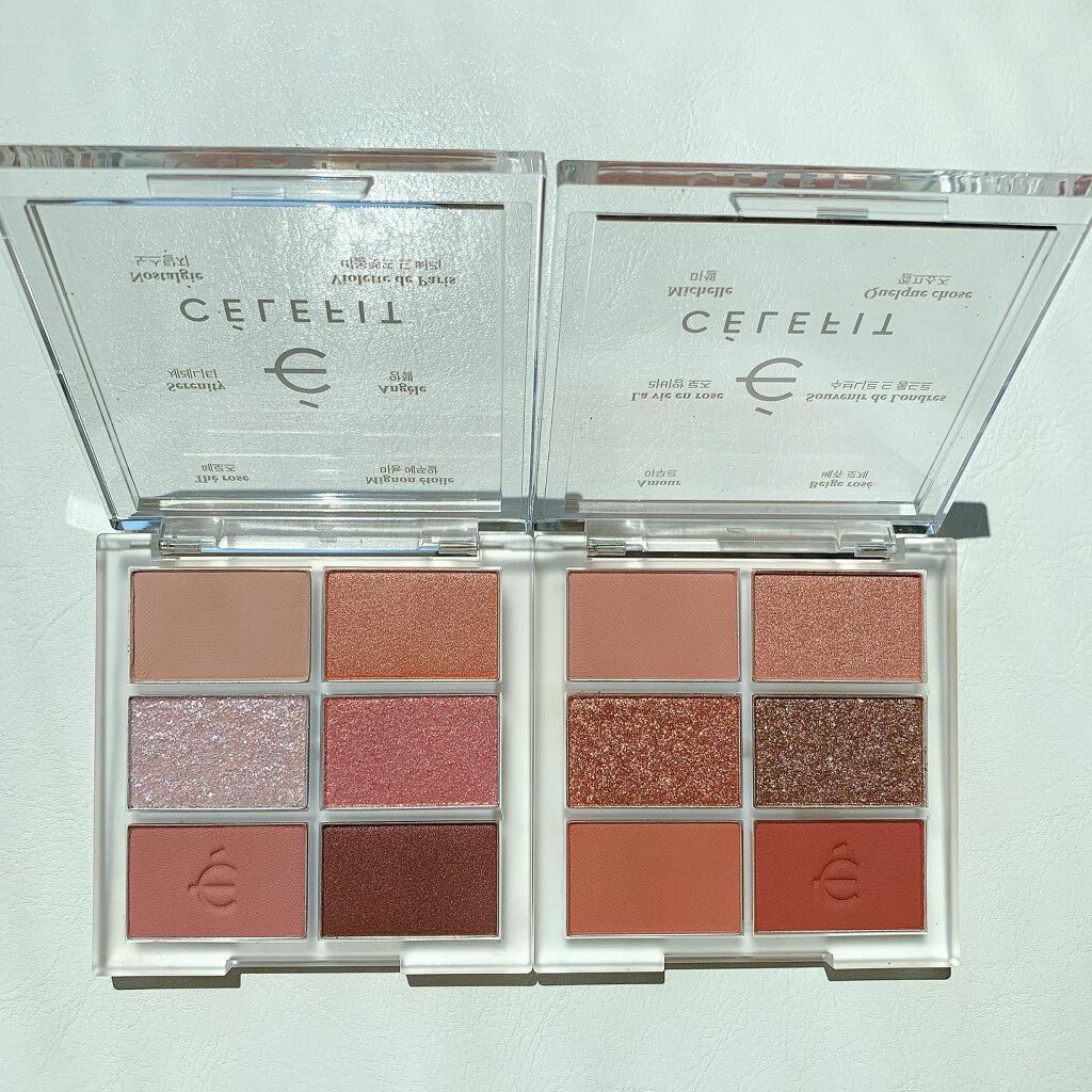 プロアイシャドウパレットセシル/CELEFIT/アイシャドウパレットを使ったクチコミ(2枚目)