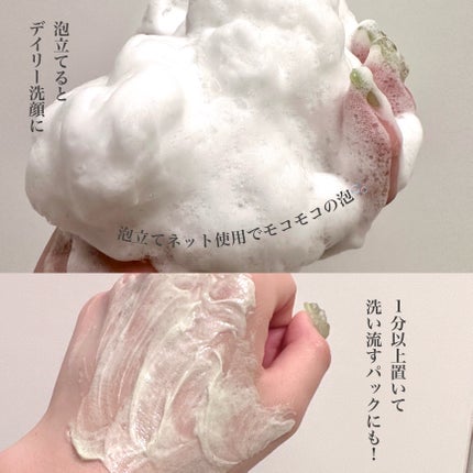 ホイップドヴィーガンパッククレンザーディスカバリーキット/WHIPPED/スキンケアキットを使ったクチコミ(2枚目)