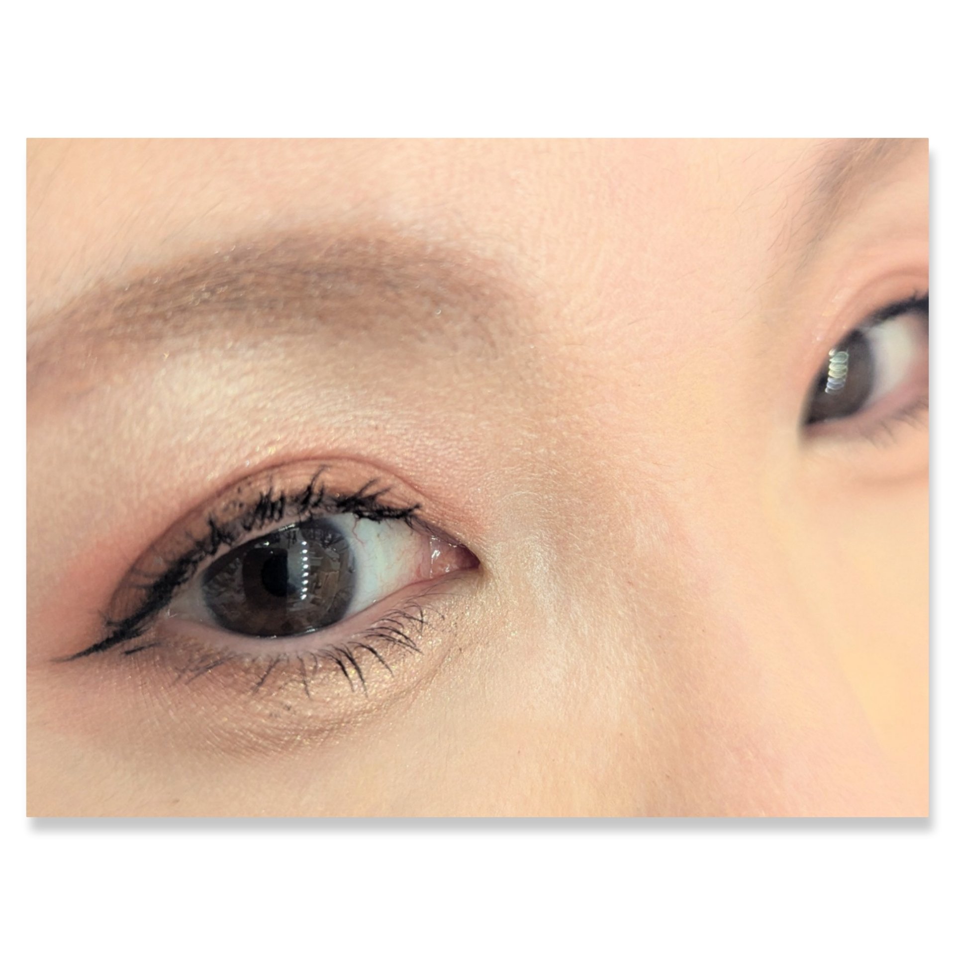 ショコラスウィート アイズ/リンメル ロンドン/アイシャドウパレットを使ったクチコミ（2枚目）