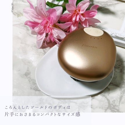 ゾーガンキンスカルプ/ZOGANKIN/ヘッドマッサージャーを使ったクチコミ(2枚目)