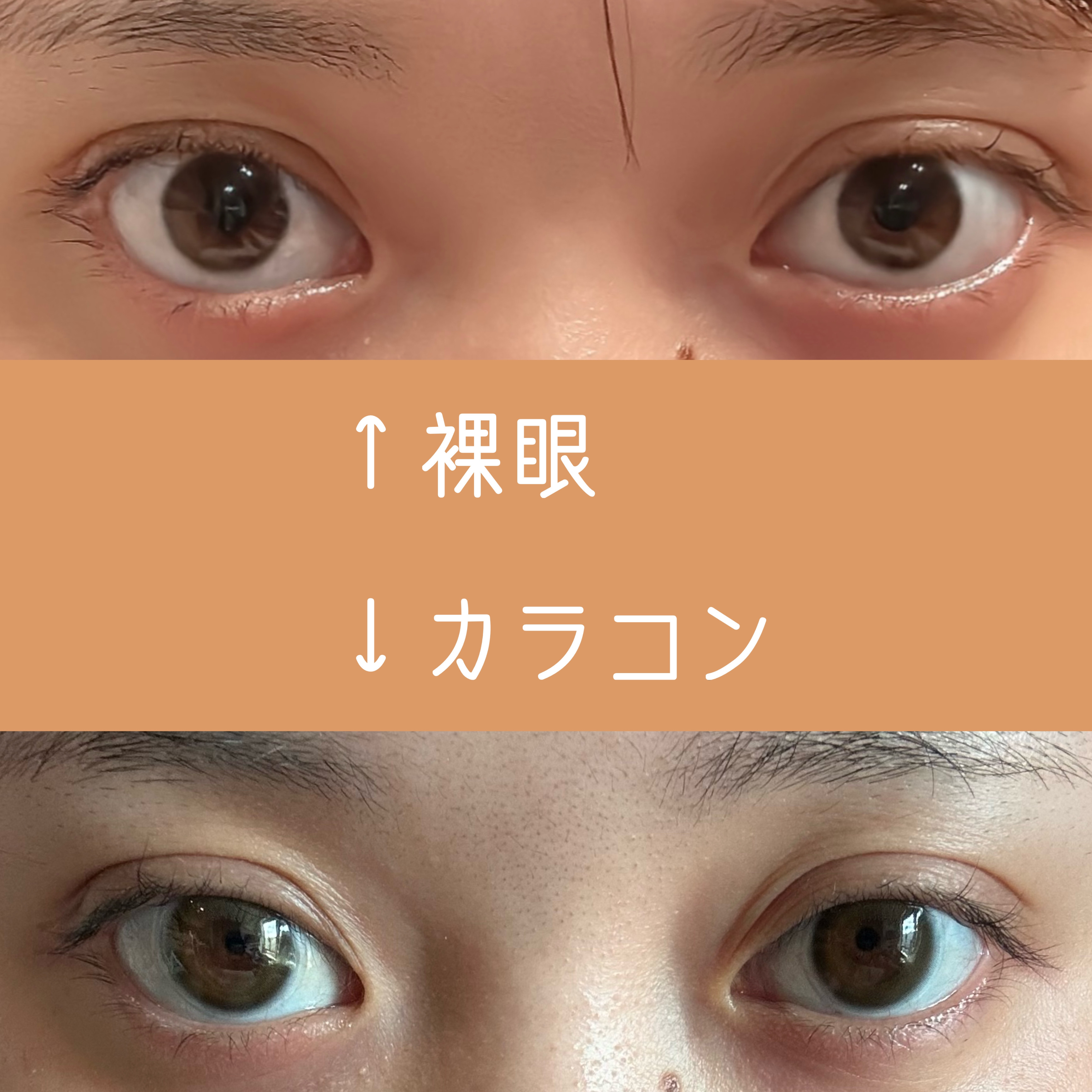 ReVIA 1day/ReVIA/ワンデー（１DAY）カラコンを使ったクチコミ（2枚目）