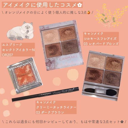 クリーミータッチライナー/キャンメイク/ジェルアイライナーを使ったクチコミ(5枚目)