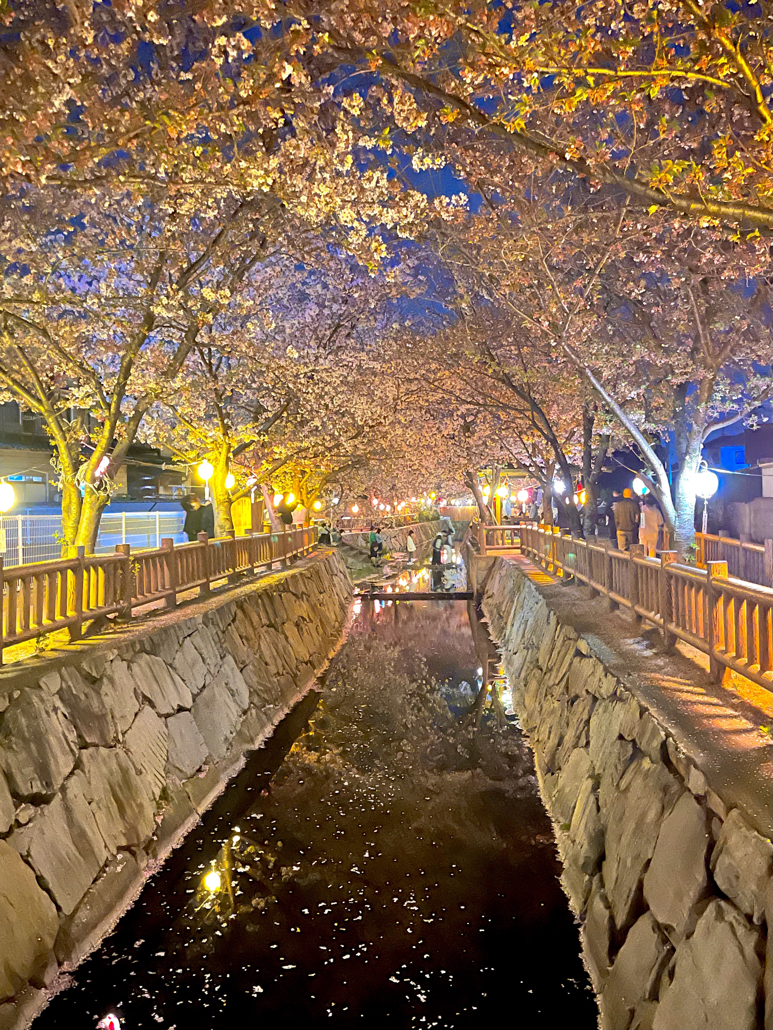 ジェルネイルシール / ZINIPIN