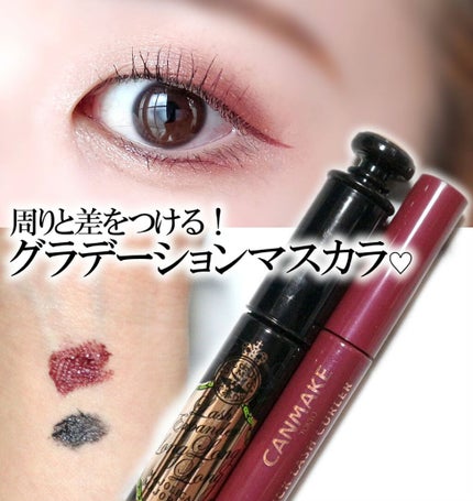 ラッシュエキスパンダー ロングロングロング/MAJOLICA MAJORCA/マスカラを使ったクチコミ(1枚目)