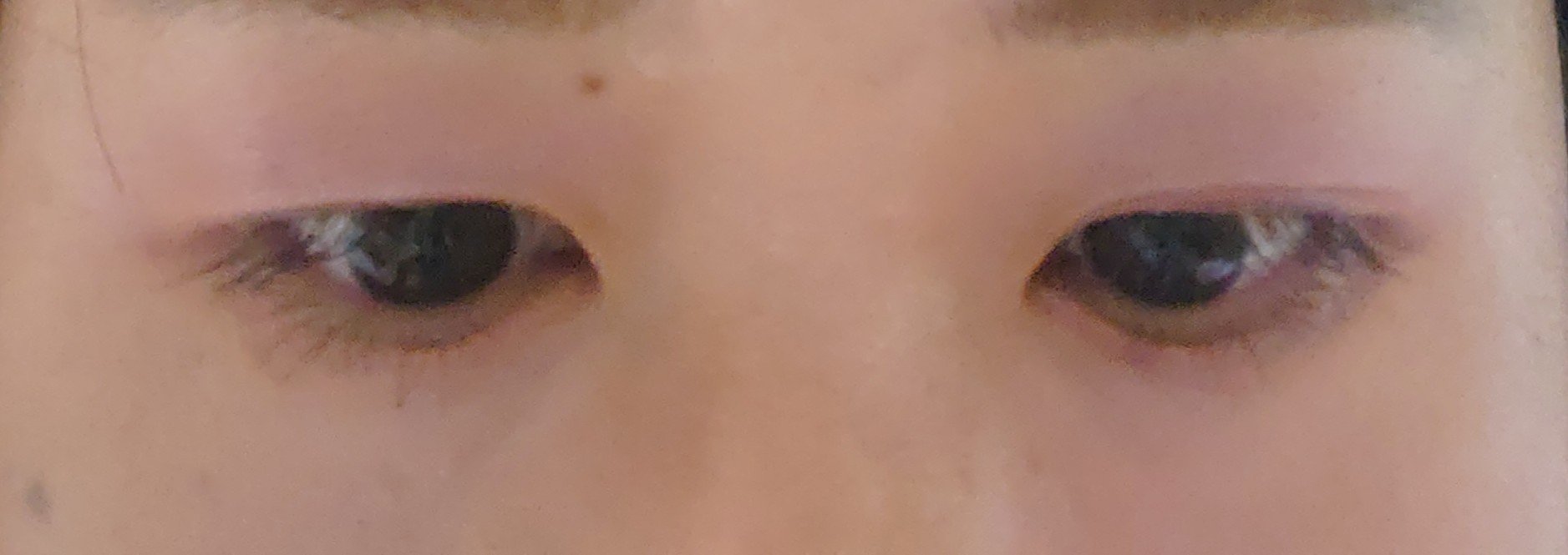 アイカラーレーション EX39 Shell Iridescence/LUNASOL/アイシャドウパレットを使ったクチコミ（3枚目）