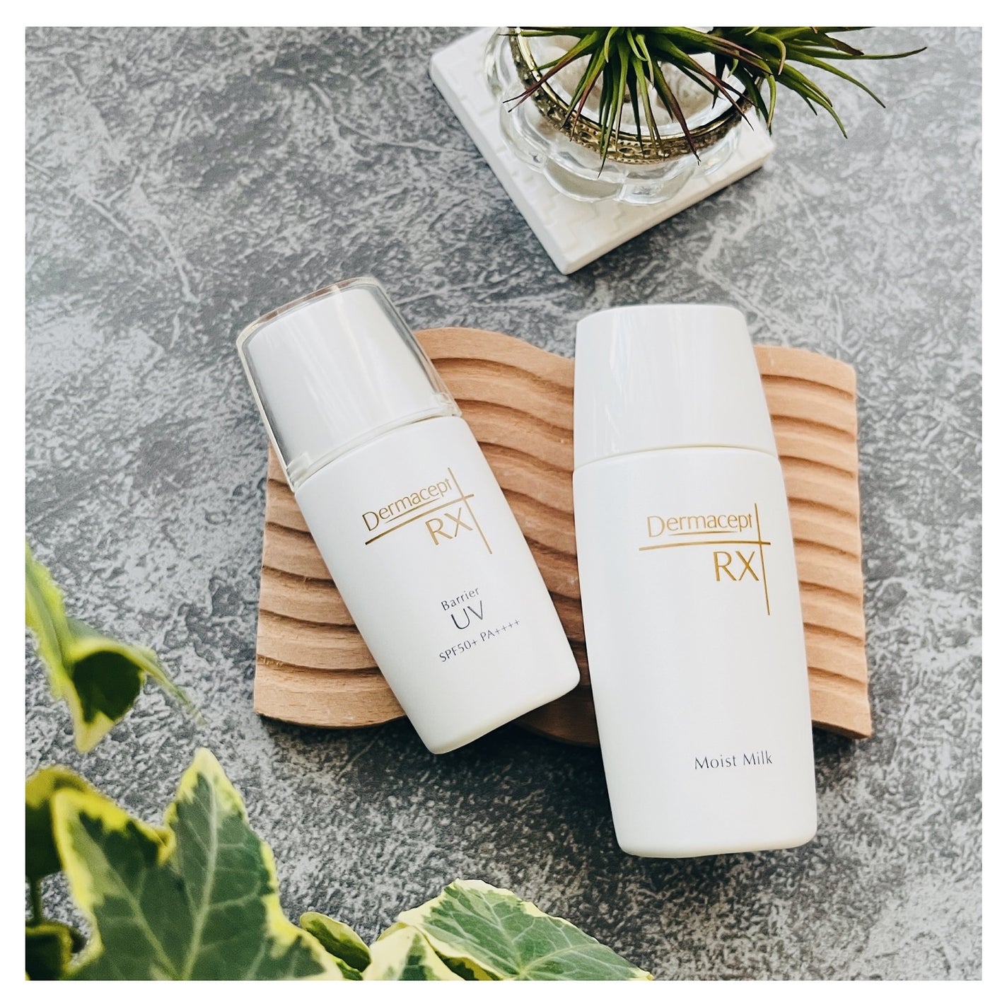 モイストミルク/ダーマセプトRX/乳液を使ったクチコミ(1枚目)