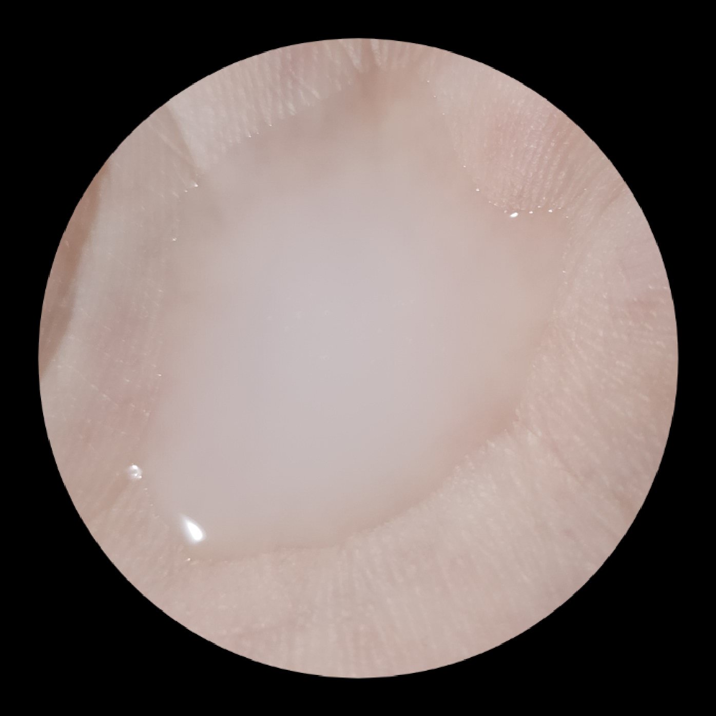  薬用スキンコンディショナーエッセンシャル N/ALBION/化粧水を使ったクチコミ（2枚目）