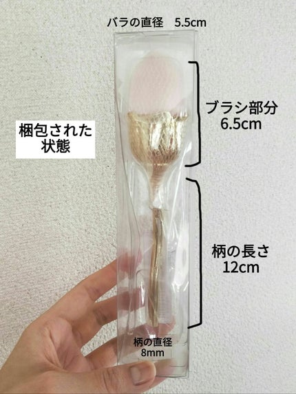 ããã¡ðð»ð
on LIPS ãâ SHEIN賌å
¥åâ ã¯ãªãŒãã³ã°ãã©ã·ããŒãºåœ¢ïŒãã³ã¯ïŒÂ¥34..ãïŒ6æç®ïŒ