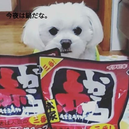 フーミー アイブロウブラシ 熊野筆/WHOMEE/メイクブラシを使ったクチコミ(5枚目)