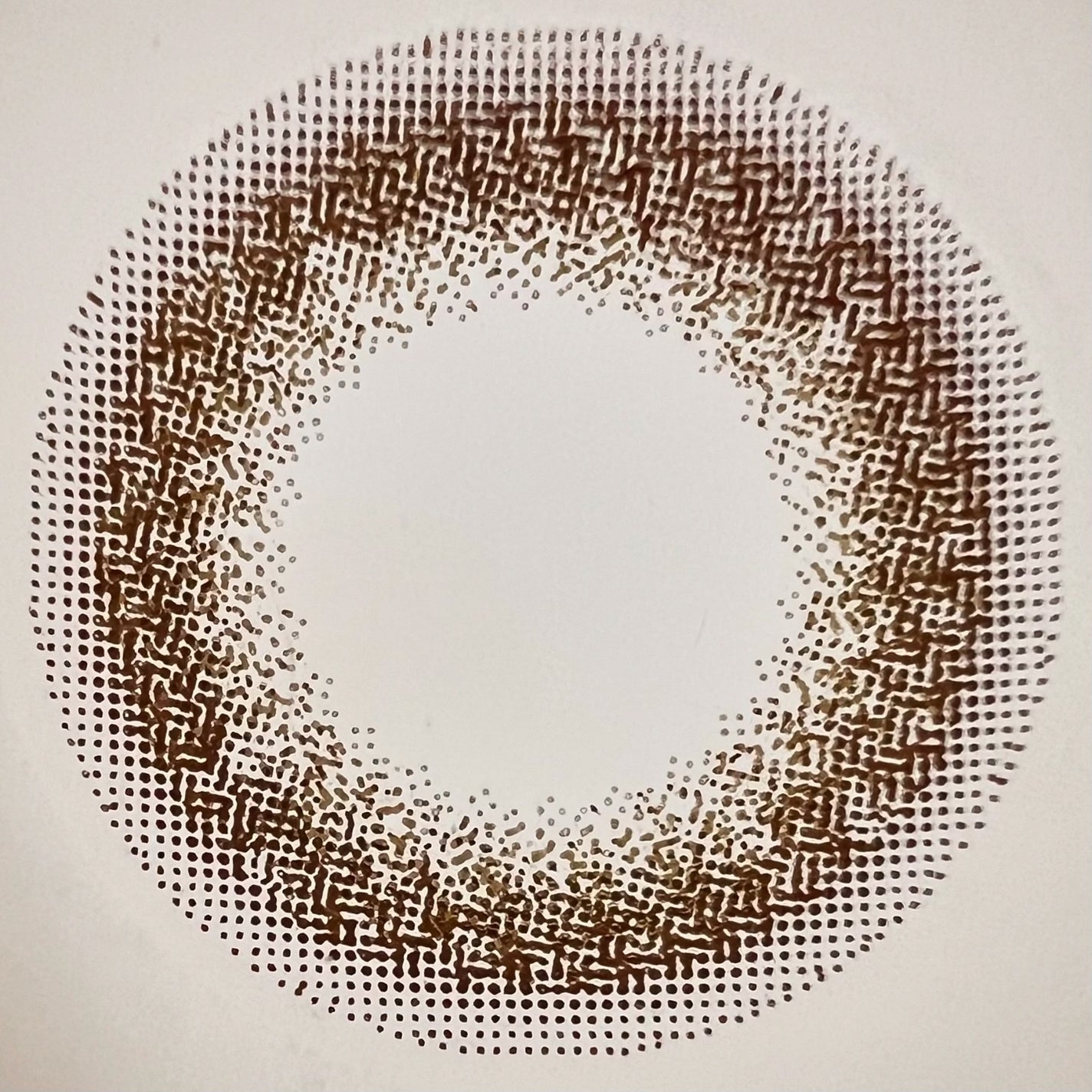 ビュームワンデー/ビューム/ワンデー(1DAY)カラコンを使ったクチコミ(10枚目)