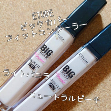 ビッグカバーフィットコンシーラー/ETUDE/リキッドコンシーラーを使ったクチコミ(2枚目)