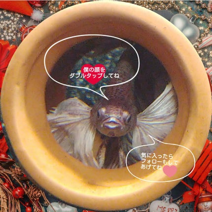 臭いが消える魔法の粉/グリコケミカル/その他を使ったクチコミ(3枚目)