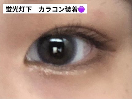 TOPARDS 1day/TOPARDS/ワンデー(1DAY)カラコンを使ったクチコミ(4枚目)