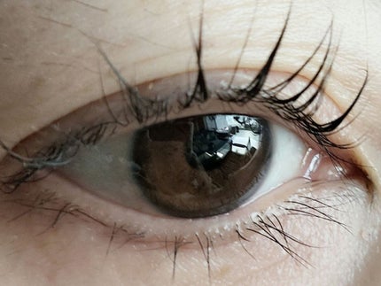 EYE2IN 低刺激 セルフプロ用 まつげパーマ 3種 セット/Qoo10/その他キットセットを使ったクチコミ(1枚目)