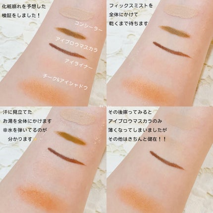 リアルメイク崩れ防止スプレー /saat insight/フィックスミストを使ったクチコミ(3枚目)