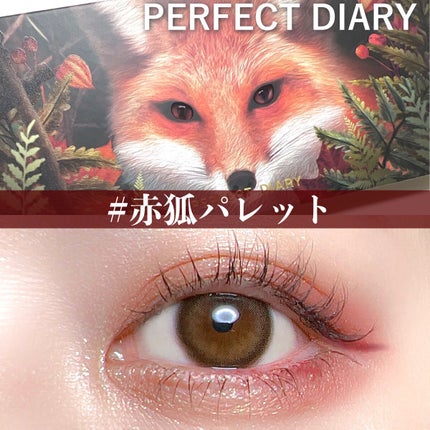エクスプローラ12色 動物アイシャドウパレット/PERFECT DIARY/アイシャドウパレットを使ったクチコミ(1枚目)