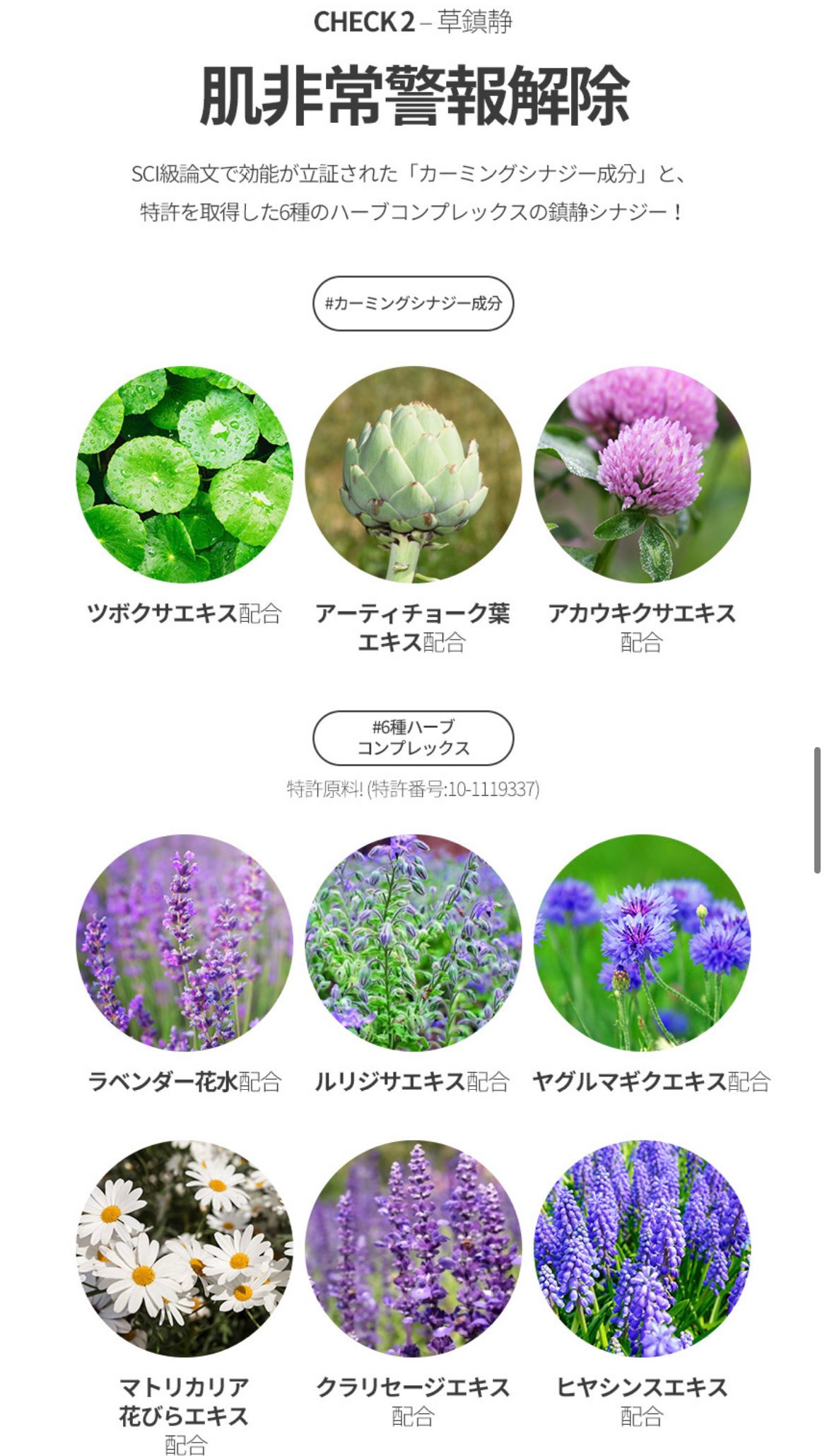 ドクダミセラム/WONDER BATH/美容液を使ったクチコミ(6枚目)