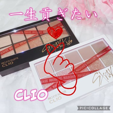 プロ アイ パレット/CLIO/アイシャドウパレットを使ったクチコミ（1枚目）