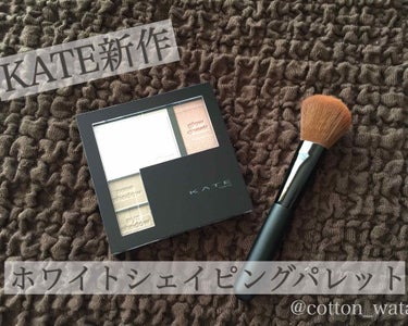 ✳︎ KATE ホワイトシェイピングパレット WT-1 ✳︎
                                                                 ¥1,80