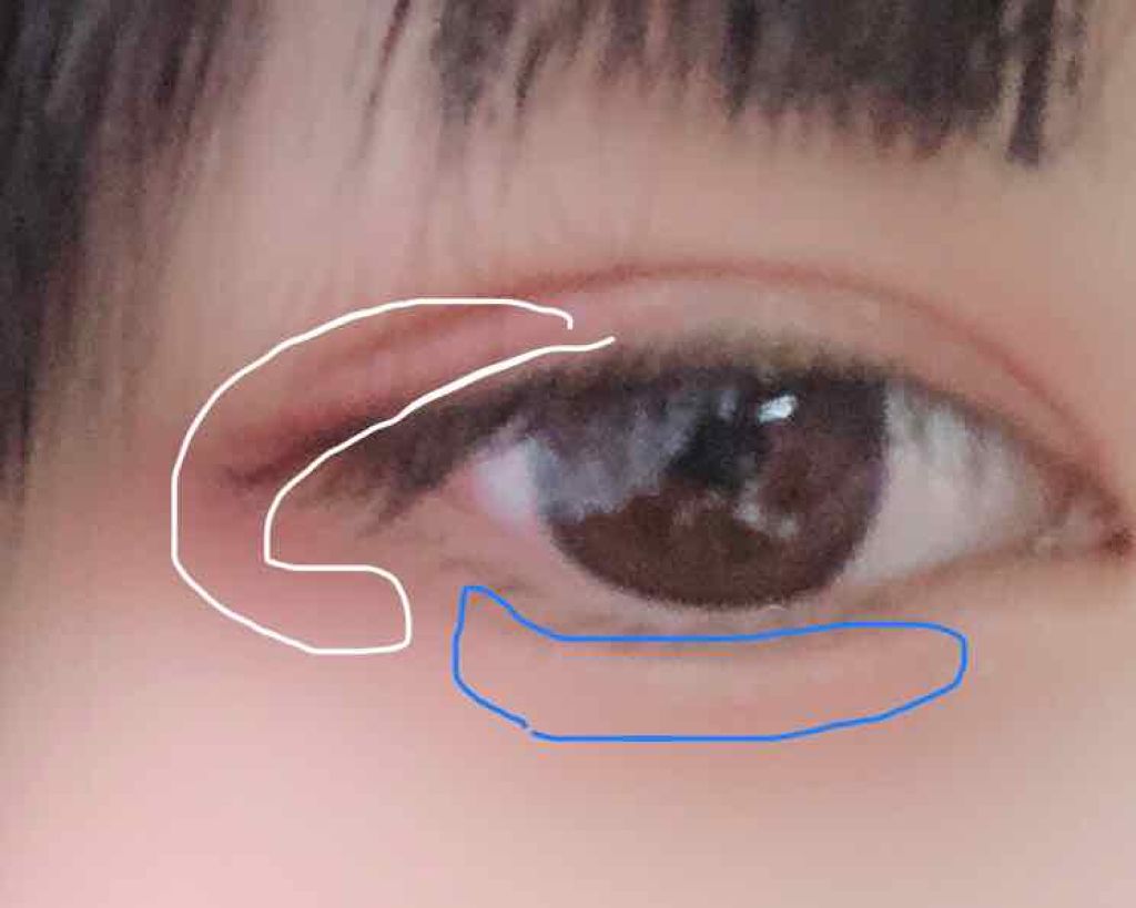 クイックラッシュカーラー/キャンメイク/マスカラ下地を使ったクチコミ（2枚目）