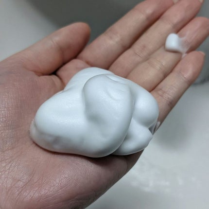 クリスタルホイップ/SHIRORU/泡洗顔を使ったクチコミ(3枚目)