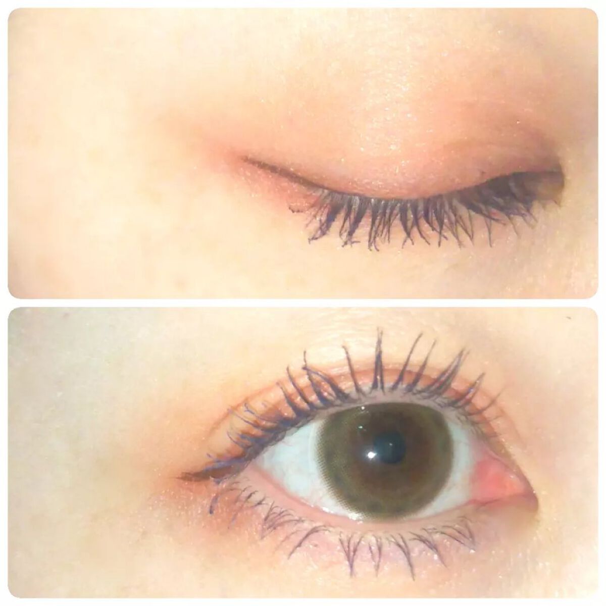 コーディネート アイ カラー/do natural/アイシャドウパレットを使ったクチコミ(3枚目)