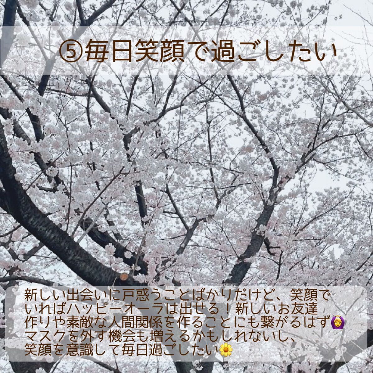 まな୨୧美容好き大学生の自分磨き記録 on LIPS 「今日は少し遅くなってしまったけど、私の4月の目標を紹介します🤍..」(6枚目)