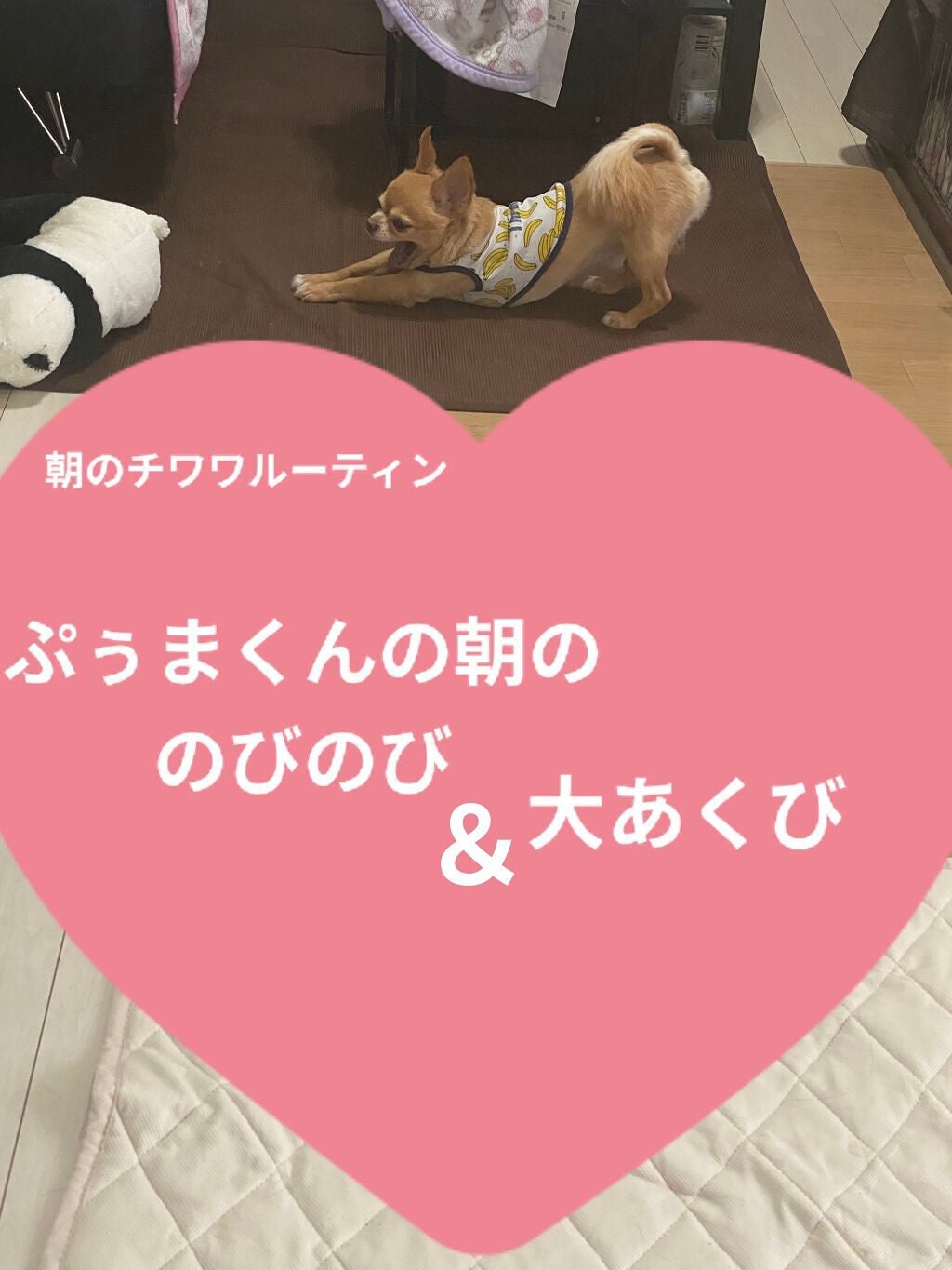 マイパルフェマスクパック/MILCOTT/シートマスク・パックを使ったクチコミ(7枚目)