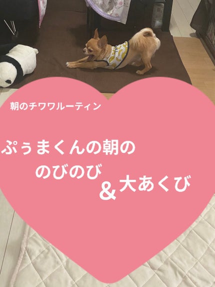 マイパルフェマスクパック/MILCOTT/シートマスク・パックを使ったクチコミ(7枚目)