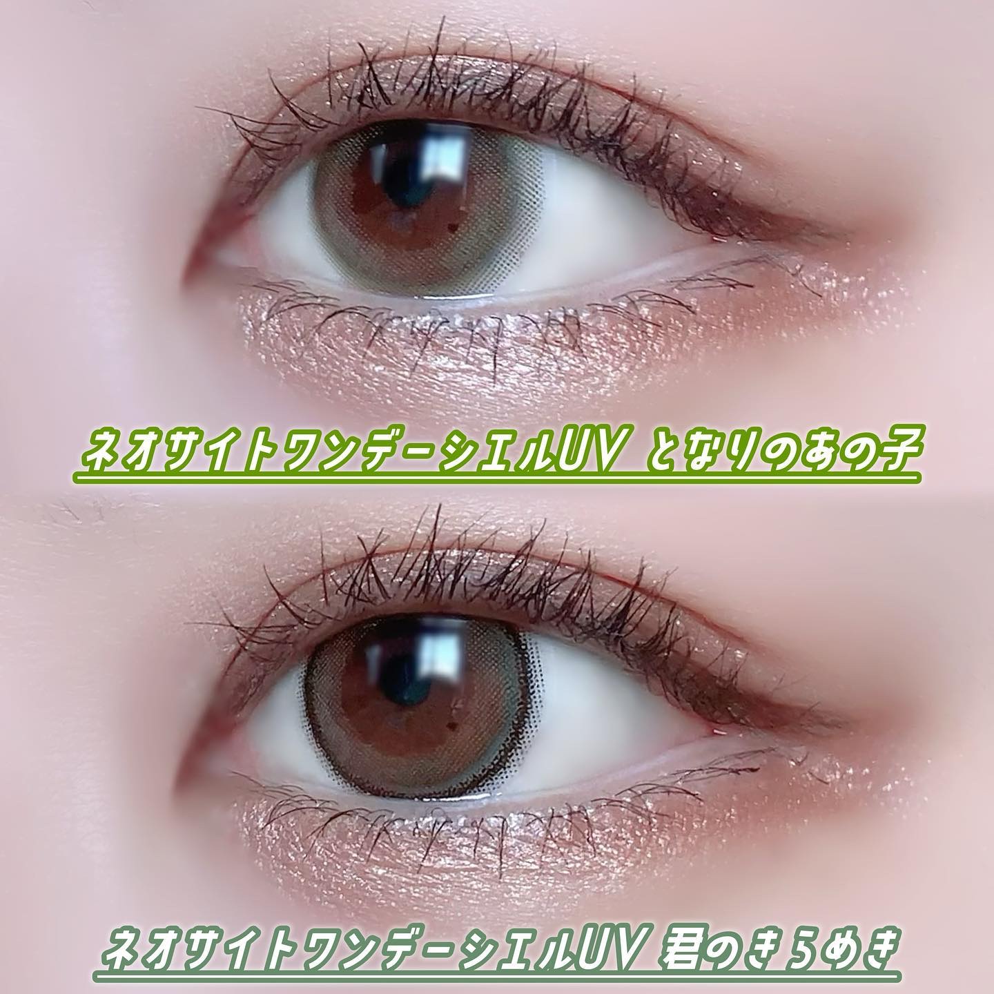 The Skin Eyeshadow Palette/perse/アイシャドウパレットを使ったクチコミ（2枚目）