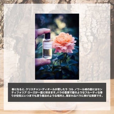 エスログ┊1日1分のモテ香水紹介 on LIPS 「.『大人香木人気香水』🌳製品情報🌳MAISONCHRISTIA..」（2枚目）