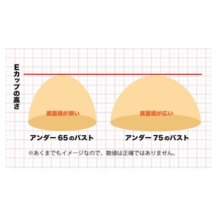 エステル ブラジャー/Risa Magli/ナイトブラを使ったクチコミ(2枚目)