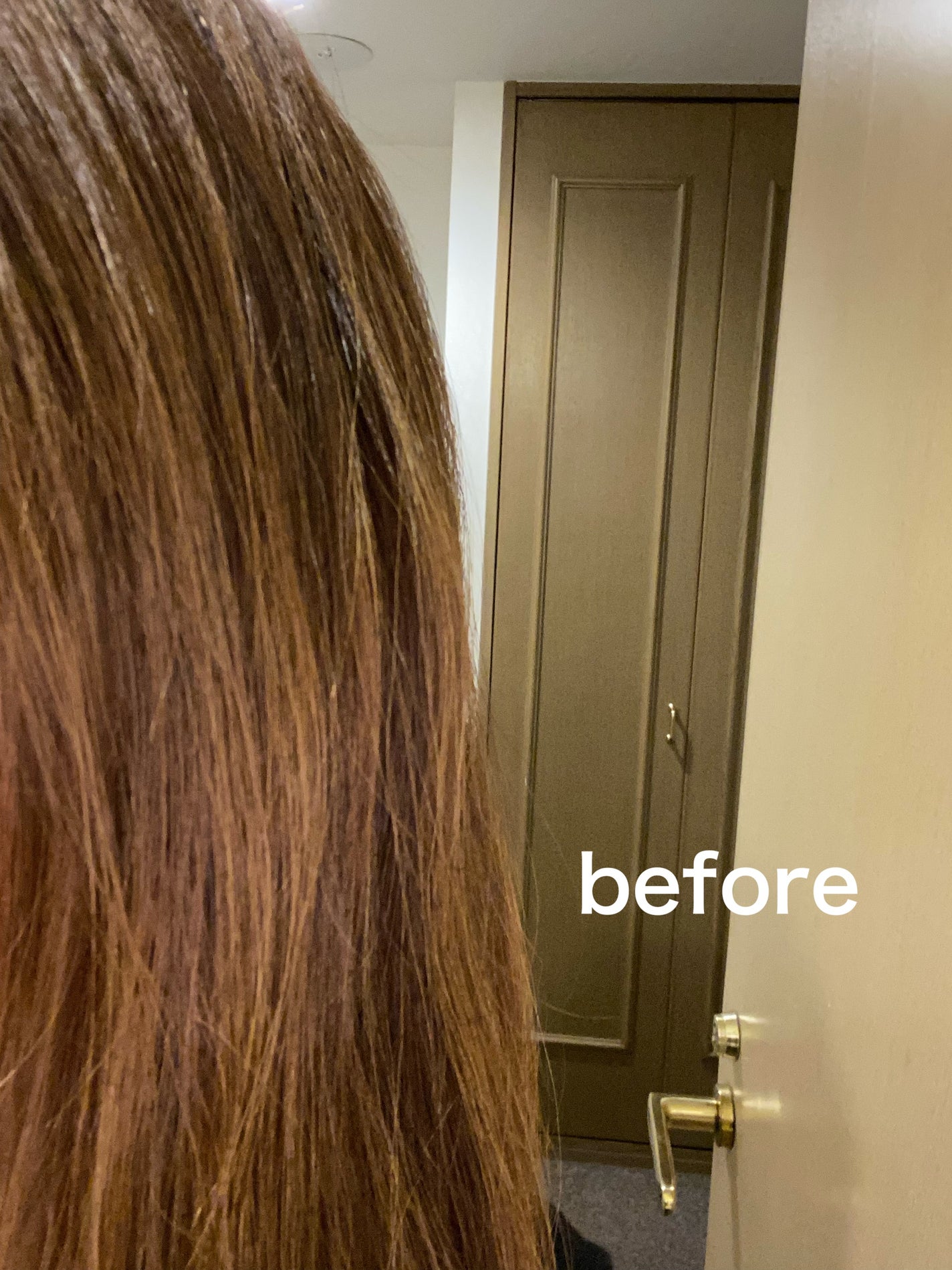 GLOSSY COAT SHAMPOO / TREATMENT/SANUS HAIR FILTER/市販シャンプーを使ったクチコミ(4枚目)