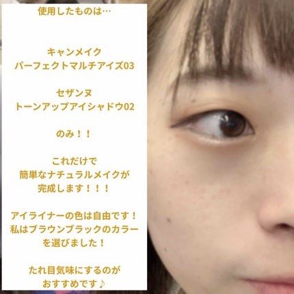 パーフェクトマルチアイズ/キャンメイク/アイシャドウパレットを使ったクチコミ(2枚目)