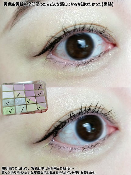 ソフトブラーリングアイパレット/wakemake/アイシャドウパレットを使ったクチコミ(8枚目)