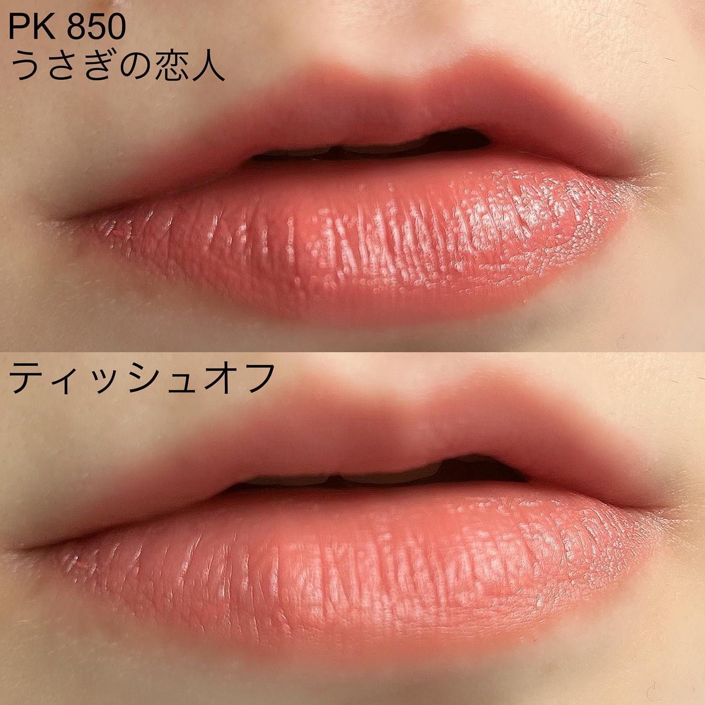 ネンマクフェイク ルージュ/Visée/口紅を使ったクチコミ(5枚目)