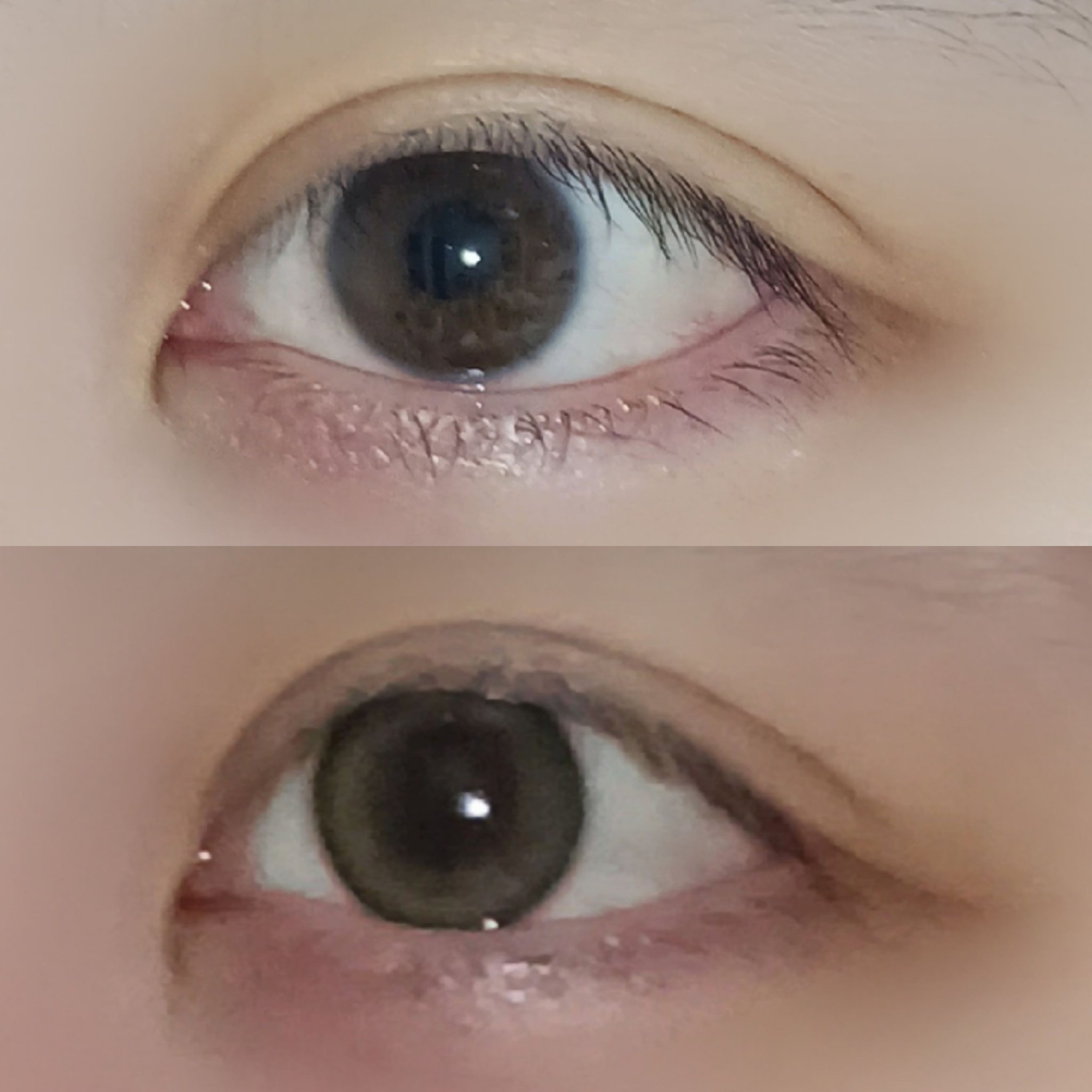 melotte 1day/melotte/ワンデー（１DAY）カラコンを使ったクチコミ（2枚目）