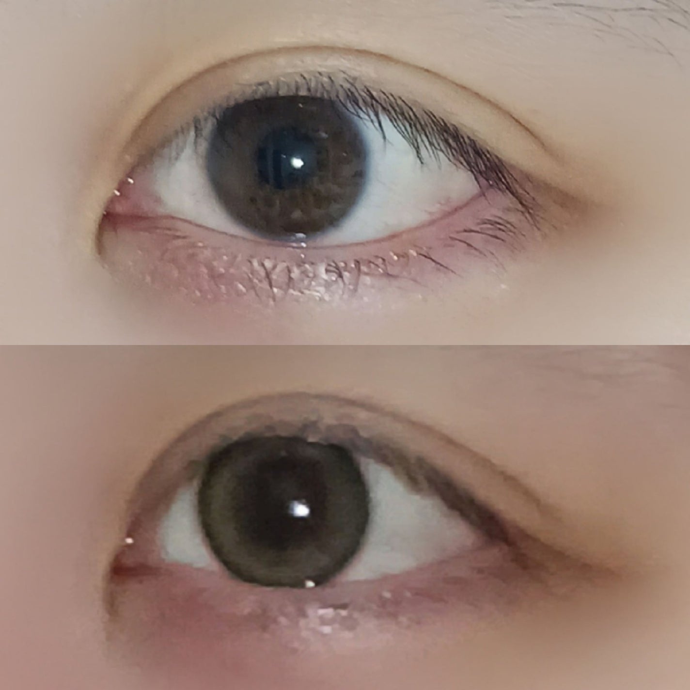 melotte 1day/melotte/ワンデー(1DAY)カラコンを使ったクチコミ(2枚目)