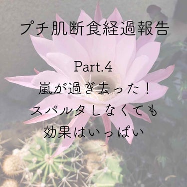 エイミー on LIPS 「2019.4.23追記あり○＊・○＊・○＊・○＊・○＊・○ずっ..」（1枚目）